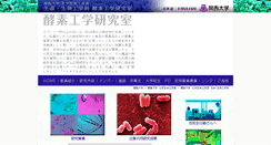 Desktop Screenshot of biomole.life-bio.kansai-u.ac.jp